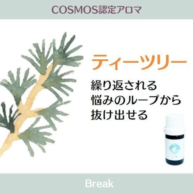 COSMOS認定精油　ティーツリー精油　5ml　(オーガニック:COSMOS Certified)