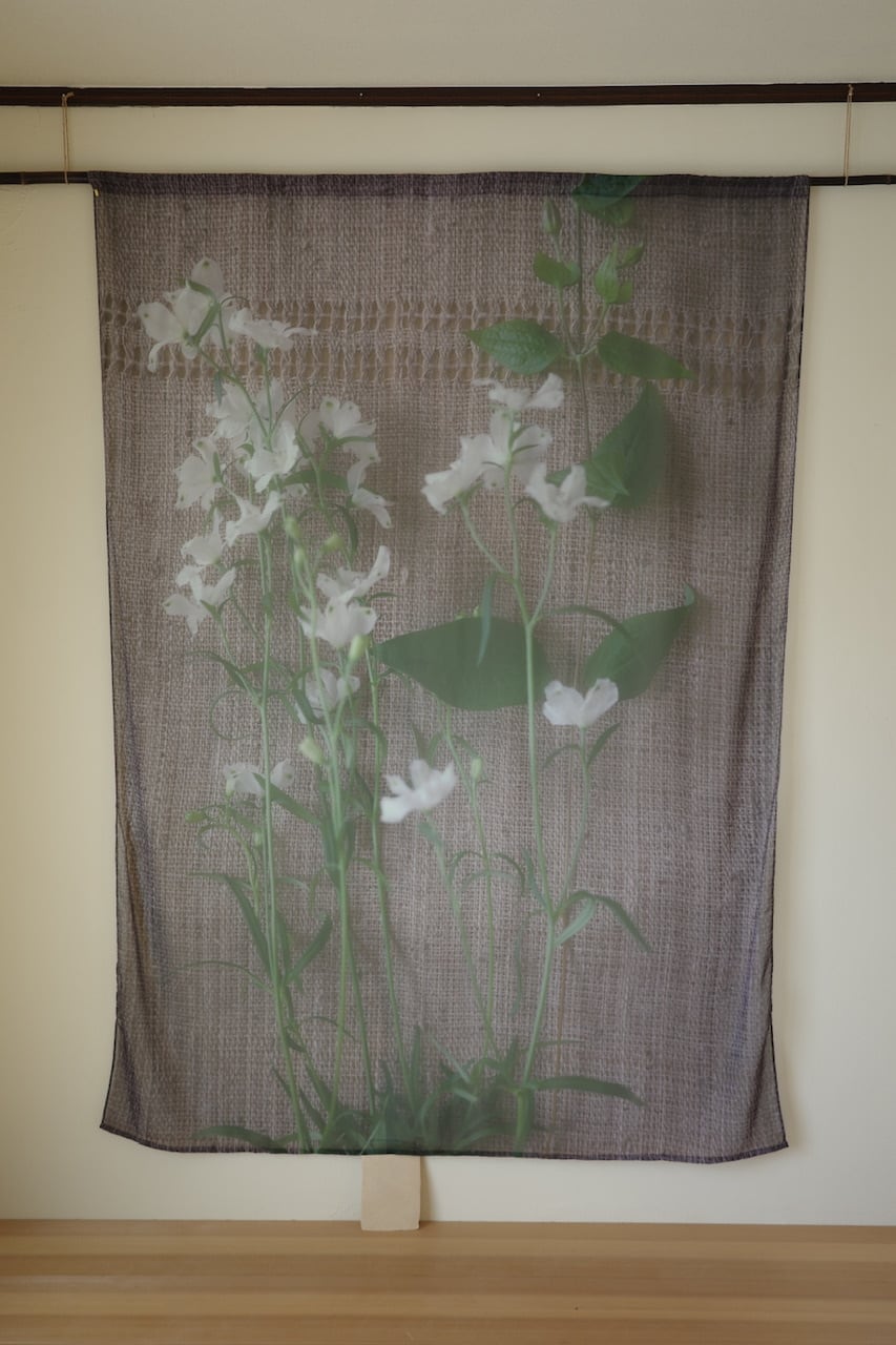 rūpa print curtain"All living things have meaning "1