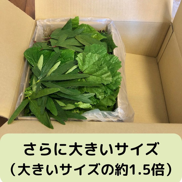 ＜クール便・木曜日発送＞【さらに大きいサイズ】季節のお野菜セット