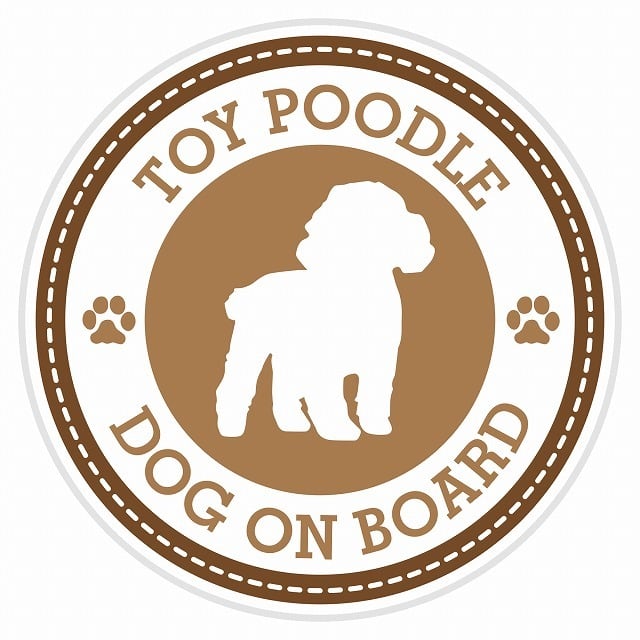 セーフティサイン ステッカー Dog on board TOY POODLE トイプードル 6