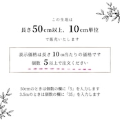 インドの布《インド柄 No.14 /点線 / コットン》サンガネールのブロックプリント Mulaセレクト