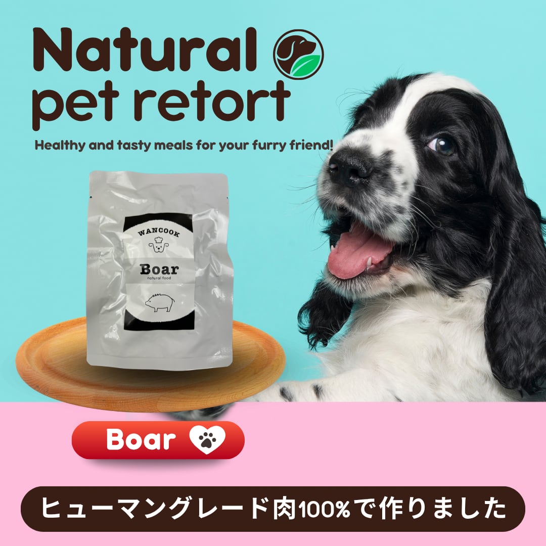 毎月1回お届け!全5種レトルトのアソートセット