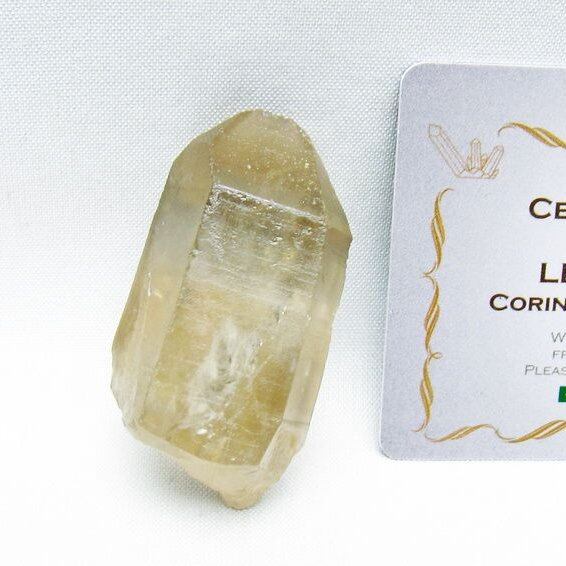 レムリアンシード シトリンクォーツ 原石 ブラジル ミナスジェライス州 コリント産 一点物 171-7269