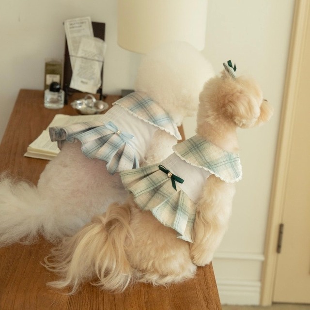 【即納】preppy checkered dress+hairpin〈2color〉/ Dairypetchon　韓国犬服