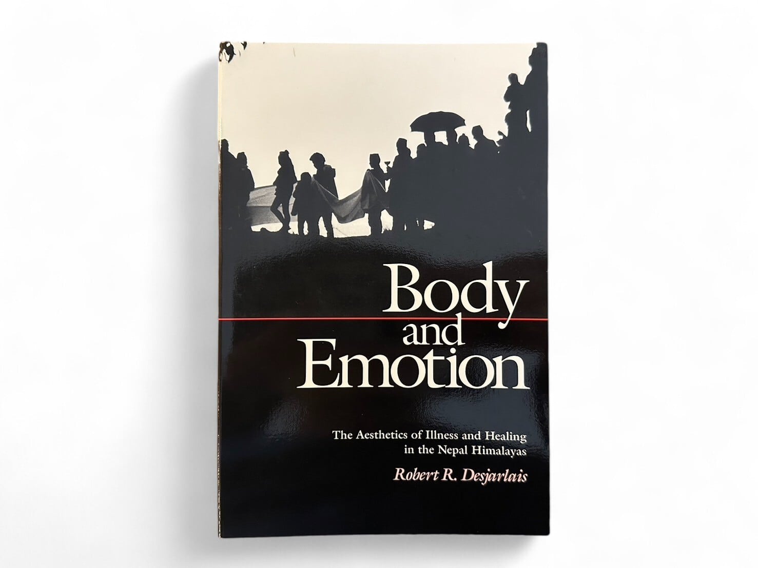 【SS138】Body and Emotion: The Aesthetics of Illness and Healing in the Nepal Himalayas(1992)/Robert R.Desjarlais