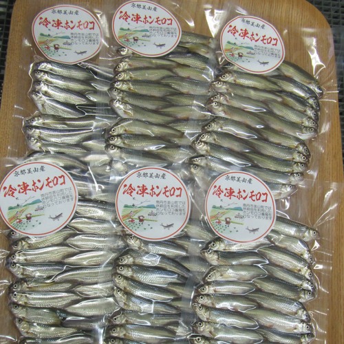 京都美山町産　冷凍ホンモロコ　6袋セット　(レシピ付き)