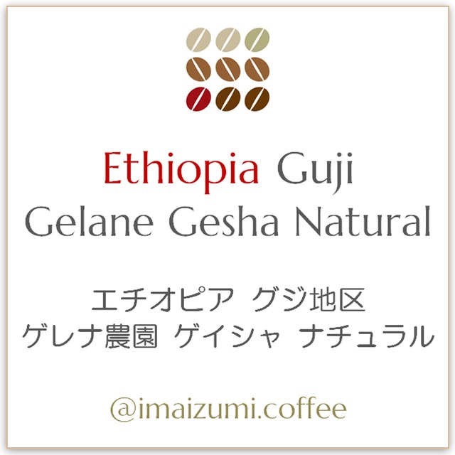 【送料込】エチオピア グジ地区 ゲレナ農園 ゲイシャ ナチュラル - Ethiopia Guji Gelane Gesha Natural - 300g(100g×3)