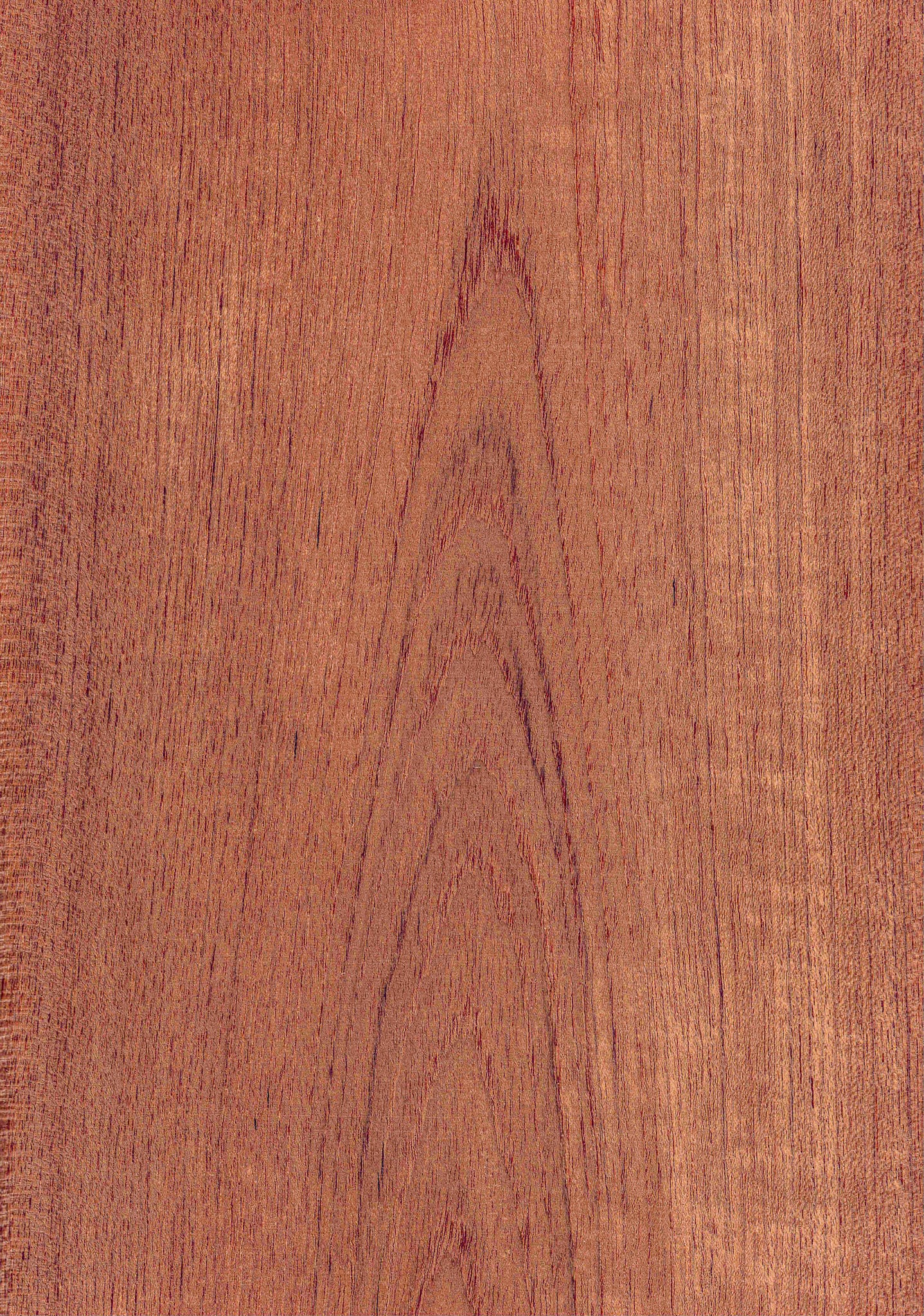 hp - 8WE04PAAAAA HP 限定 天然木材 天然木ツキ板シート チーク 茶色系 900mm×1800mm | poke