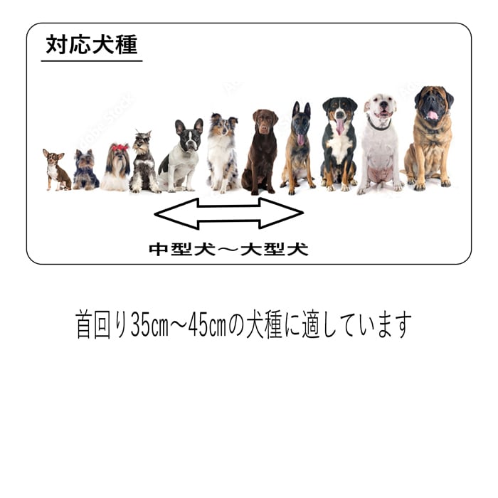 中型犬～大型犬首輪 24㎜幅 33㎝～62㎝ | Five Drops BASE店