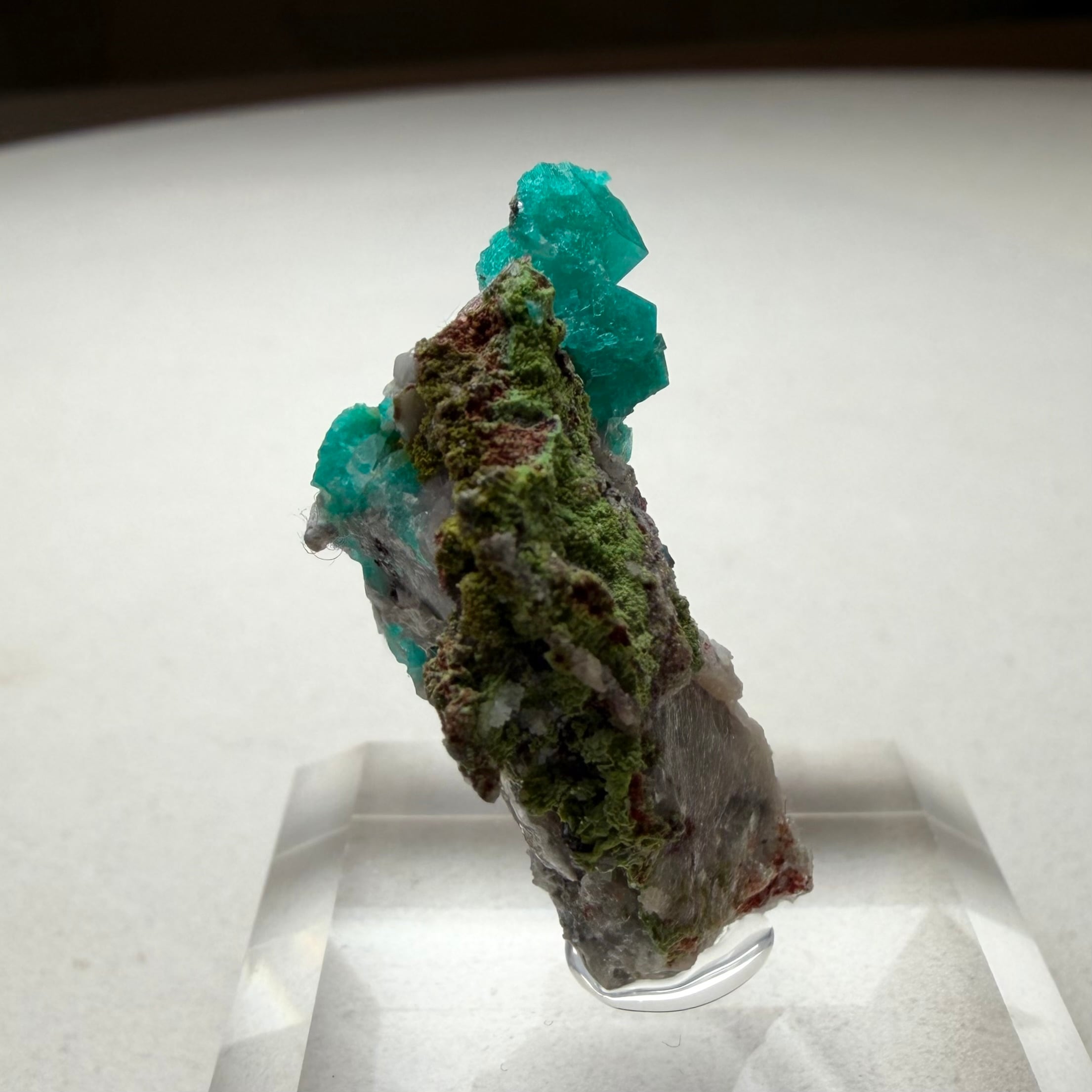 ダイオプテーズ / ダフタイト / カルサイト【Dioptase in Calcite with