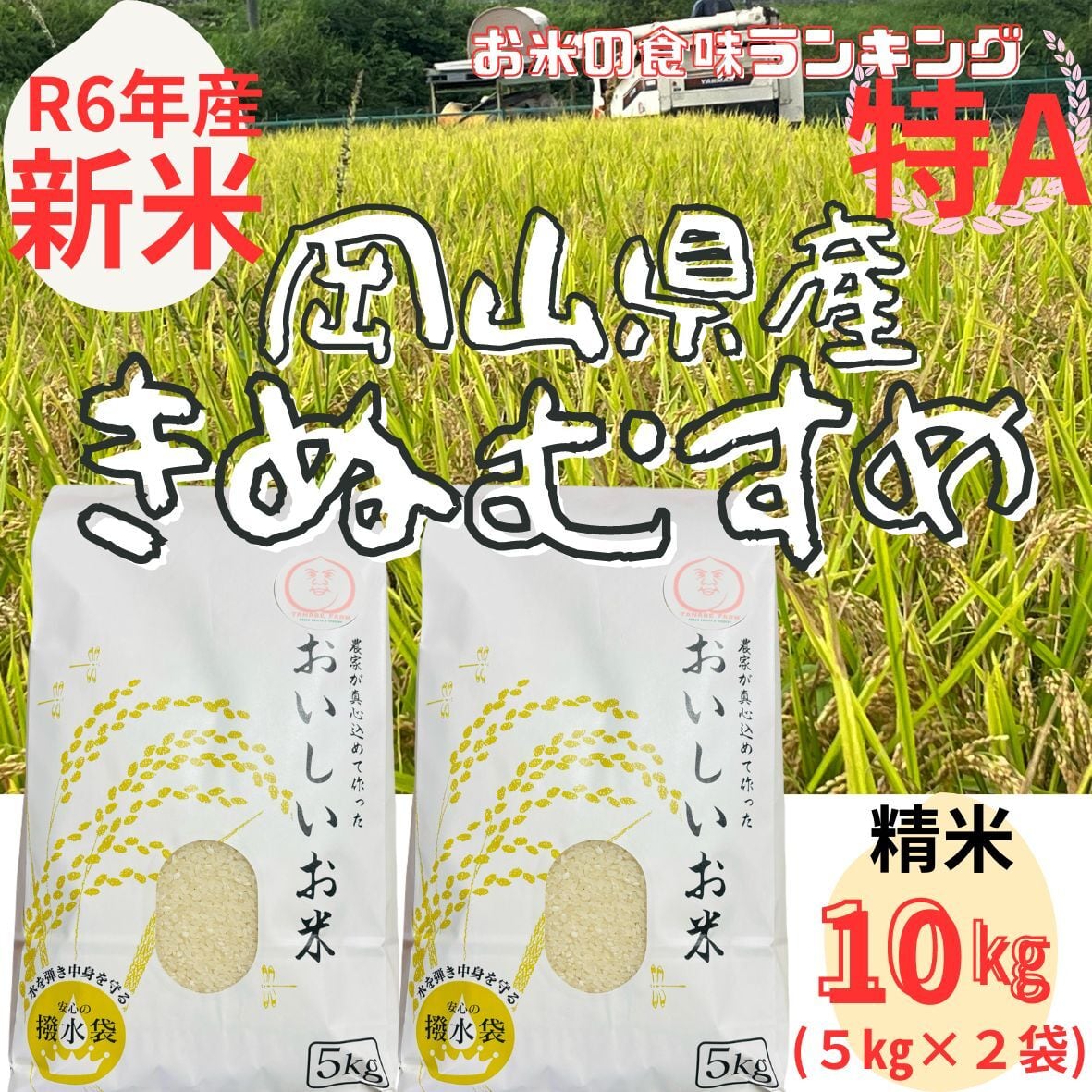 令和6年産】【新米】【特Aランク】 【精米】 岡山県産 きぬむすめ 10  