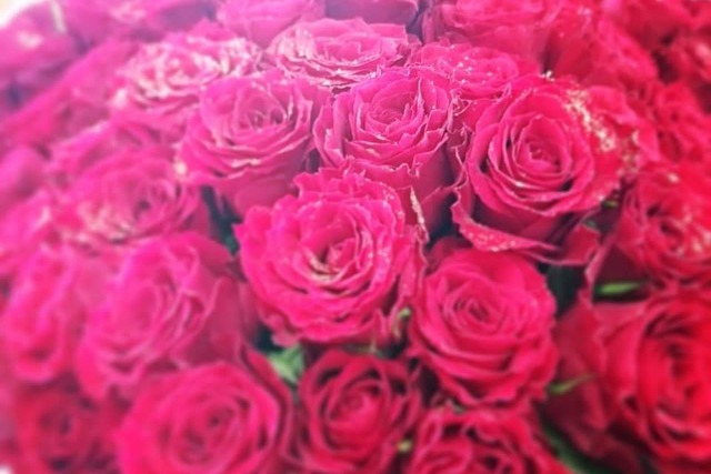 １０８本の赤バラの花束