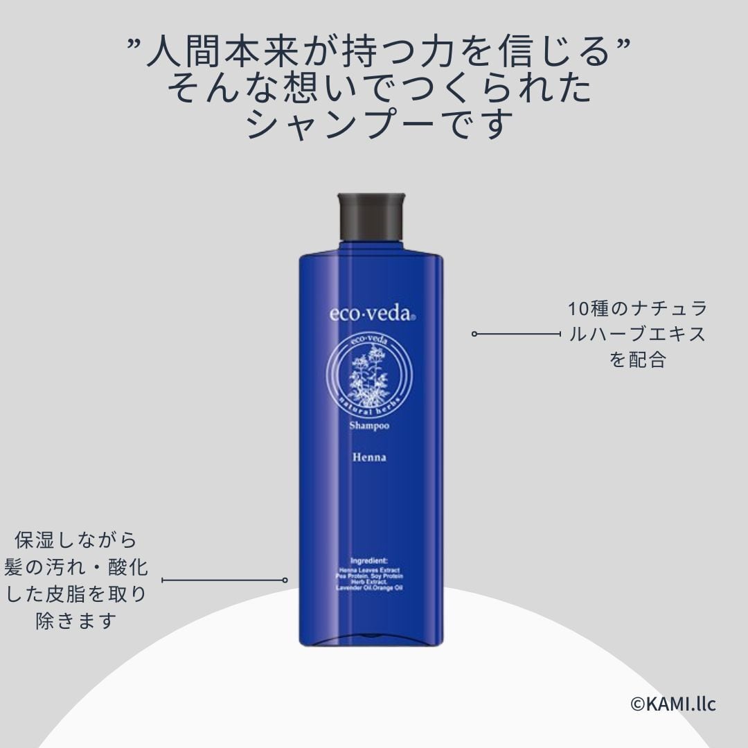 マヘンディシャンプー H 100ml｜エコヴェーダ | KAMI.llc