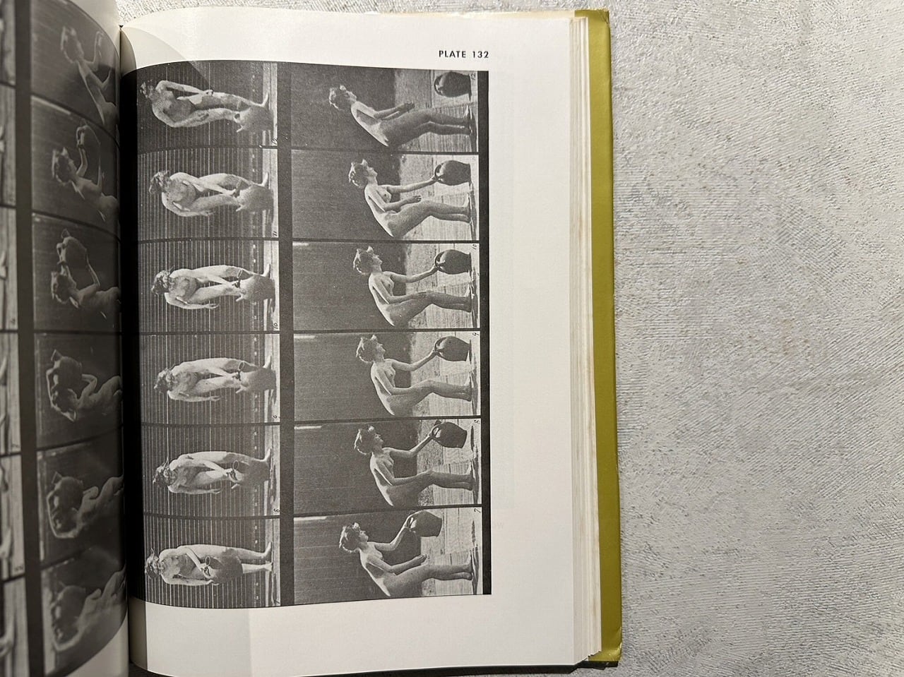 4f5a2a6f70c3fef4661cfe16747787