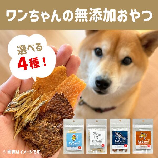 犬用おやつ】パリ2tatami | 野澤作蔵商店 nozawasakuzo_shoten