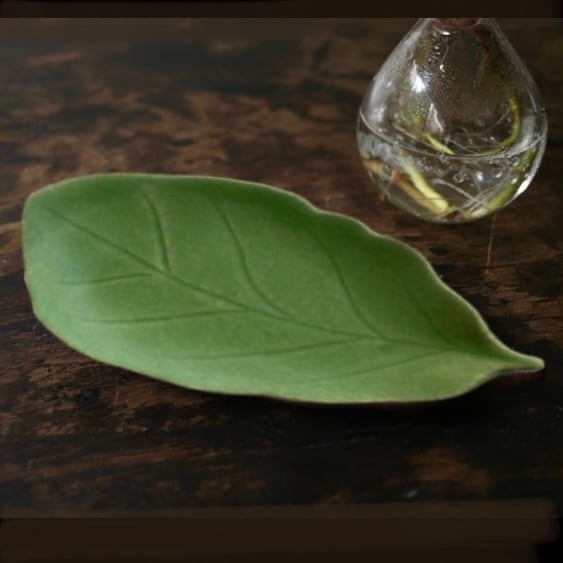 葉皿(幅17.5cm)柏の葉グリーン | TSUNE;田中恒子の器 オンラインストア