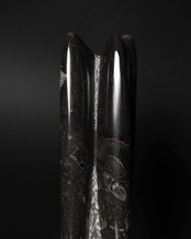 Fossils / Fossils Orthoceras Tower Object