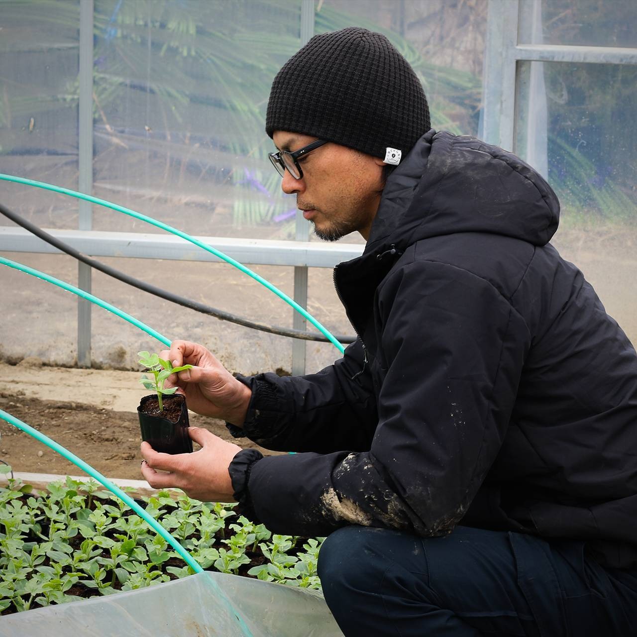 予約注文限定10%オフ!【R8年度】農家直送 雪国スイカ 小玉5玉 優品 贈り物に◎