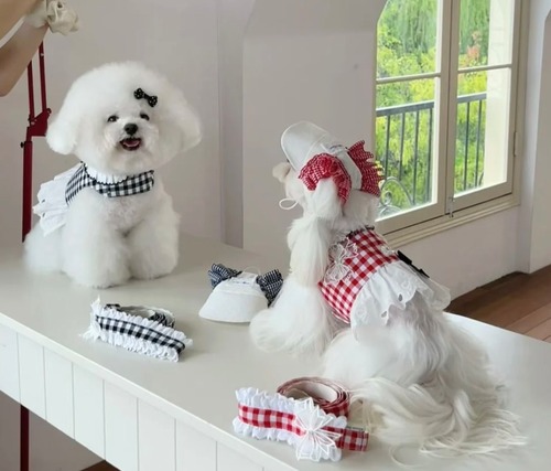 《予約》AB0011  Checkered Ribbon Cap / Lace Leash