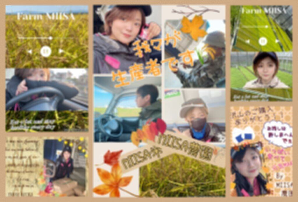 みんこ ページ　10玉 パーツハウス 鉄生地六角穴付止めねじ クボミ M5X10 GO-104: 建築金物