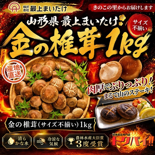 【山形 椎茸】イチオシ椎茸 1kg｜肉厚 しいたけ｜農林水産大臣賞｜食物繊維｜きのこ王国｜ビタミンd｜最上まいたけ｜ビタミンdの食品｜きのこ｜きのこマイスター｜無農薬｜
