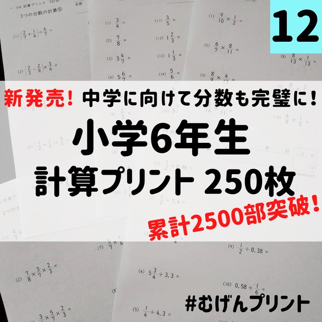 新発売 1枚あたりが一番安い250枚セット 小学6年算数計算 中学受験 むげんプリントshop