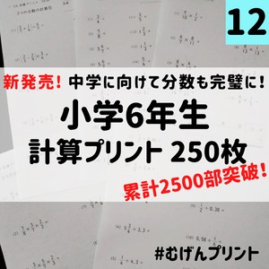 新発売！1枚あたりが一番安い250枚セット、小学6年算数計算、中学受験