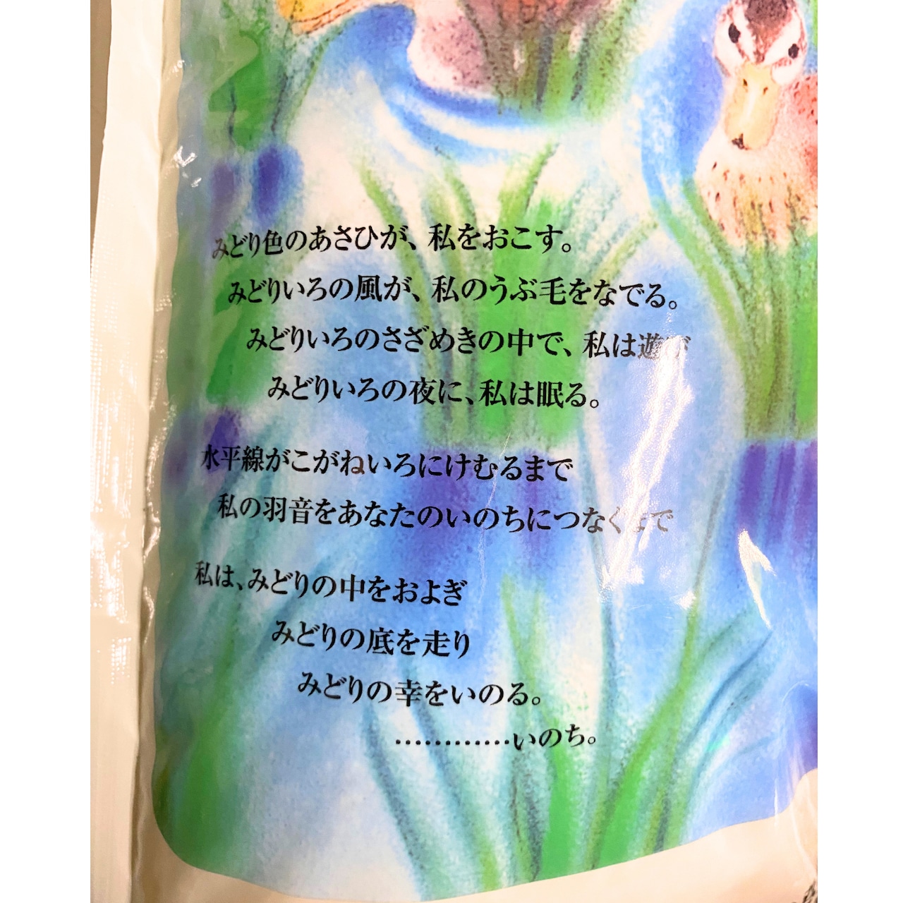※予約販売 合鴨米 5キロ 令和8年産新米 (発送10月下旬~)白米・5分付米・玄米お選び下さい