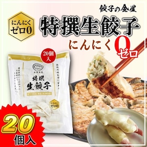 特撰生餃子（にんにくゼロ０）20個入【冷凍】