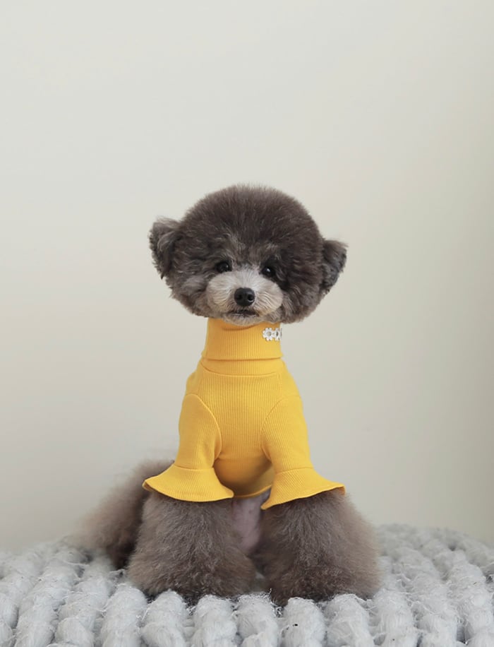 袖フリルネックポーラ S ~ XL 4color / 犬服 新作 秋冬 トップス 可愛い 犬の服 シンプル ペット洋服 ドッグウェア 犬 猫