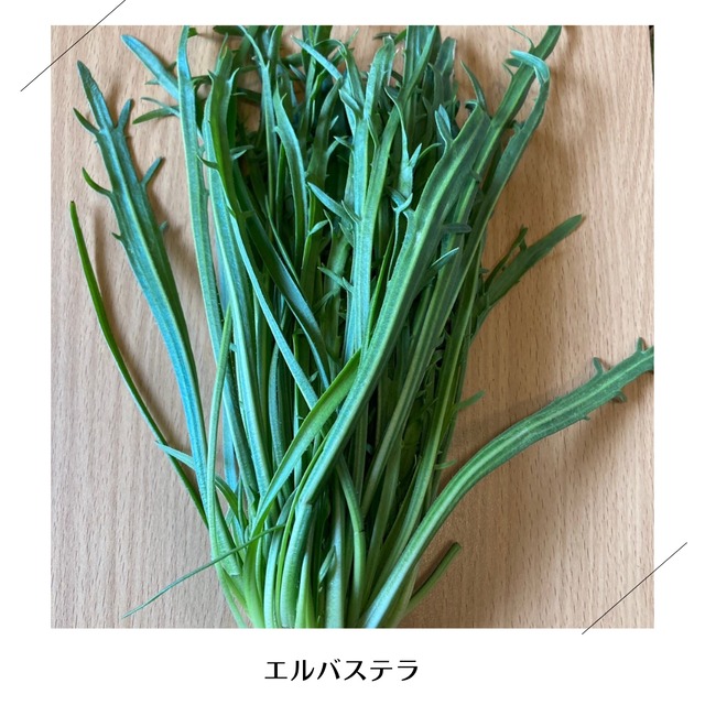 【春までおやすみ】＜クール便・金曜日発送＞【まんなかサイズ】季節のお野菜セット