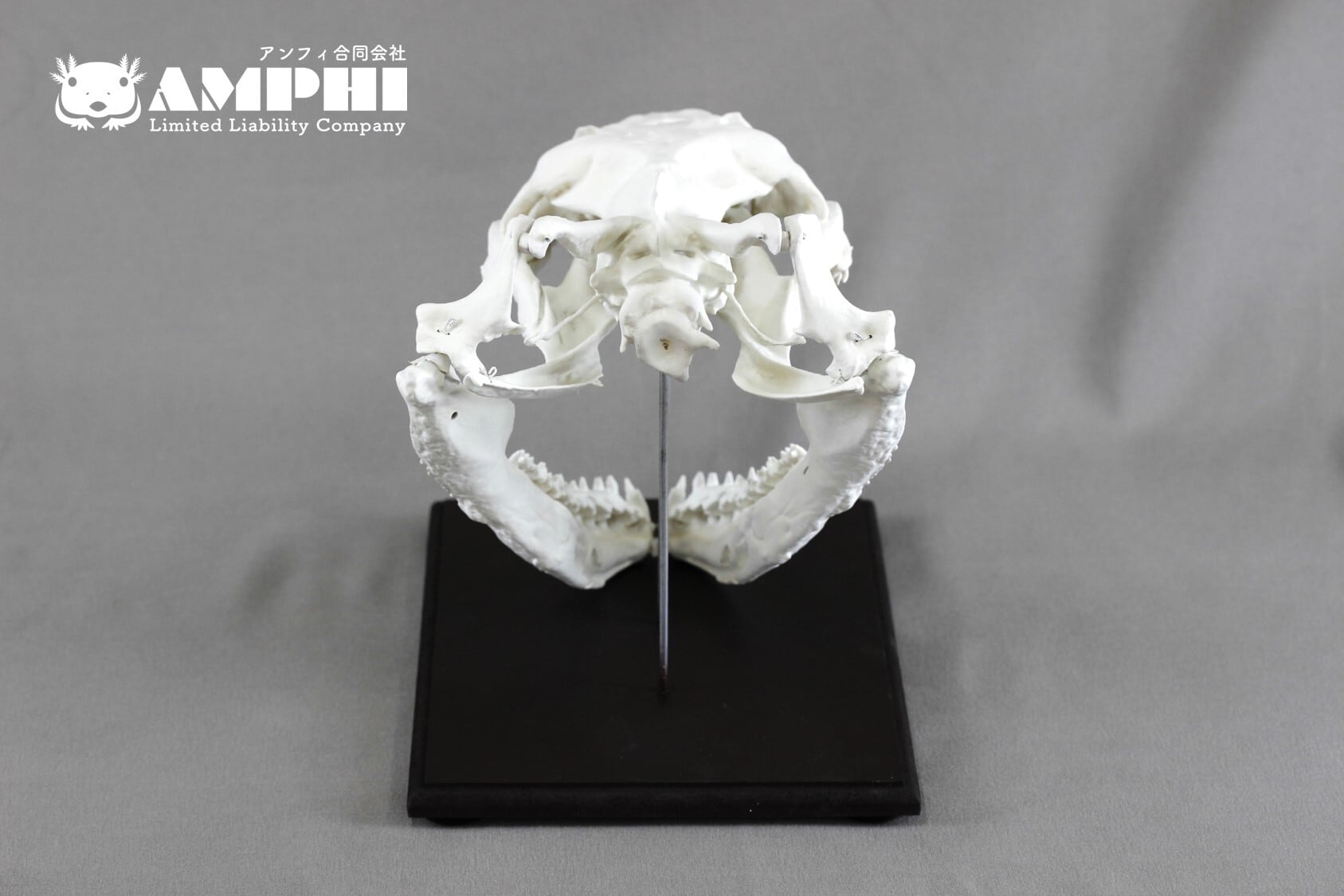 4f736c5c79c74ba0376b6a4d1d337f