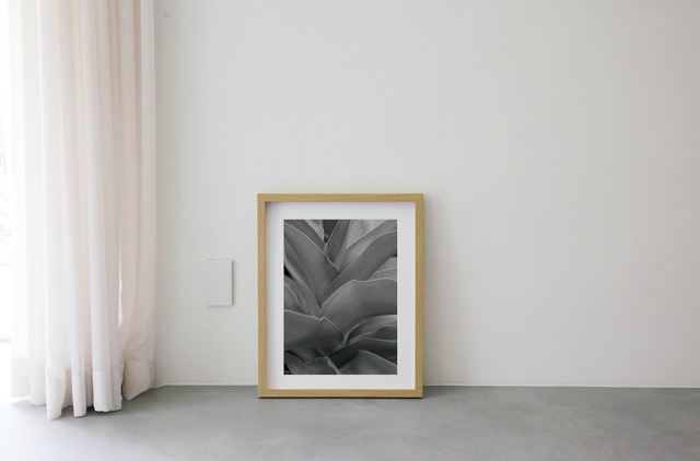 Leaf #2 wooden frame 52cm×42cm付き ( M )