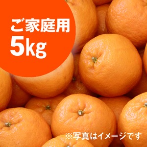 ぽんかんご家庭用5kg