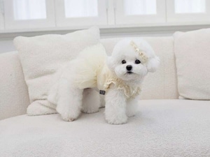 予約【cocochien】シエラチュチュ