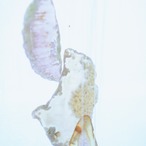 Hazel nut Ice cream 02 - アゲートヒーリングチャイム / Agate Sun Catcher Wind Chime 1054