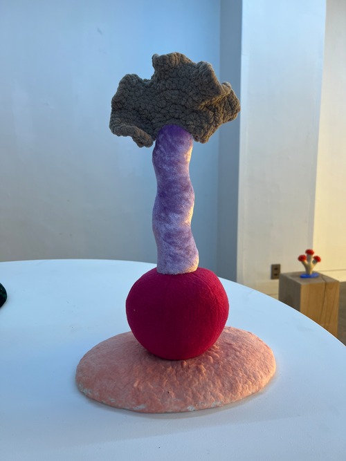 江上秋花　植物園C