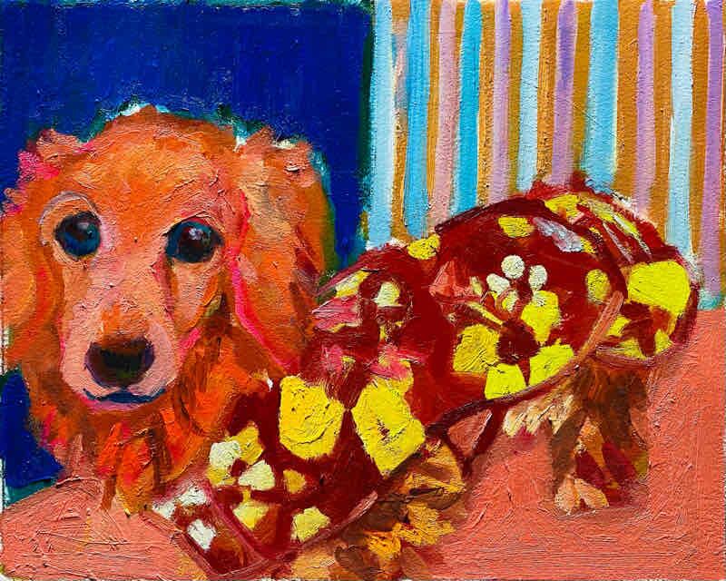 OIL COLOUR | 油彩画 #現代アート #犬 #猫