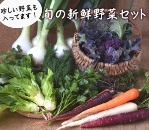 多品目栽培農園の、個性豊かな旬野菜つめあわせ6種セット