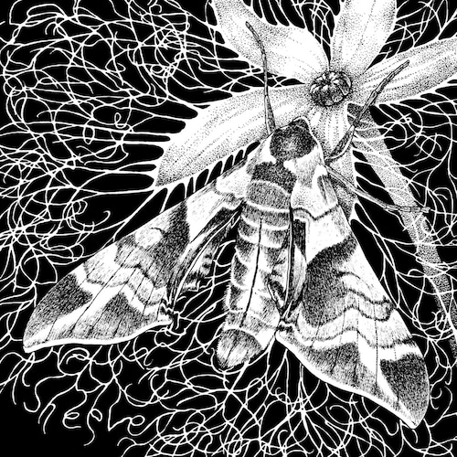 【10/14発売】sheeve『Ashes & Wings』