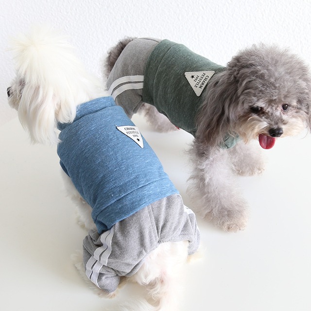 【フリーサイズ】ゆるかわ ペット服