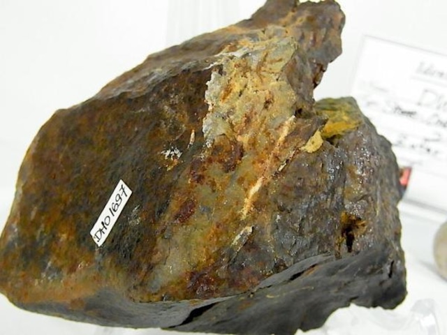 【 隕石 】石質隕石 Dhofar1697 387g 世界に1つだけ 登録済 激レア