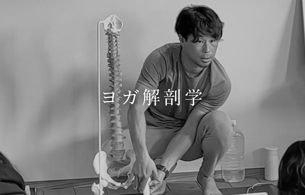 大阪開催‼️  12時間で学ぶ  ヨガ解剖学講座！