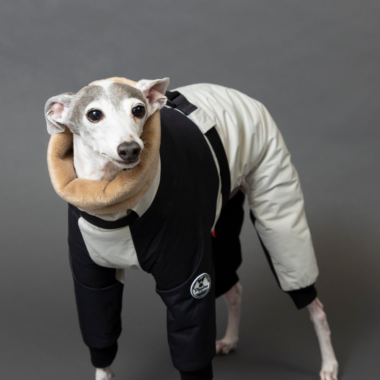 ボンバーヒートジャケット2024 light gray × black / イタグレ服