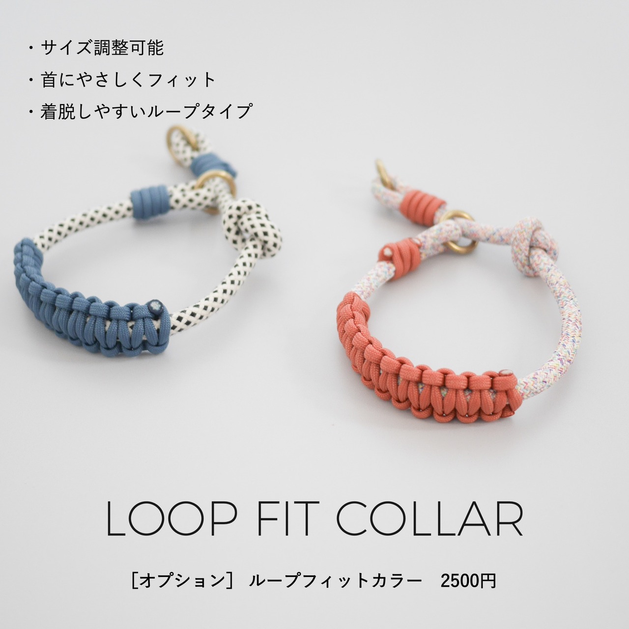 オールインワンリード