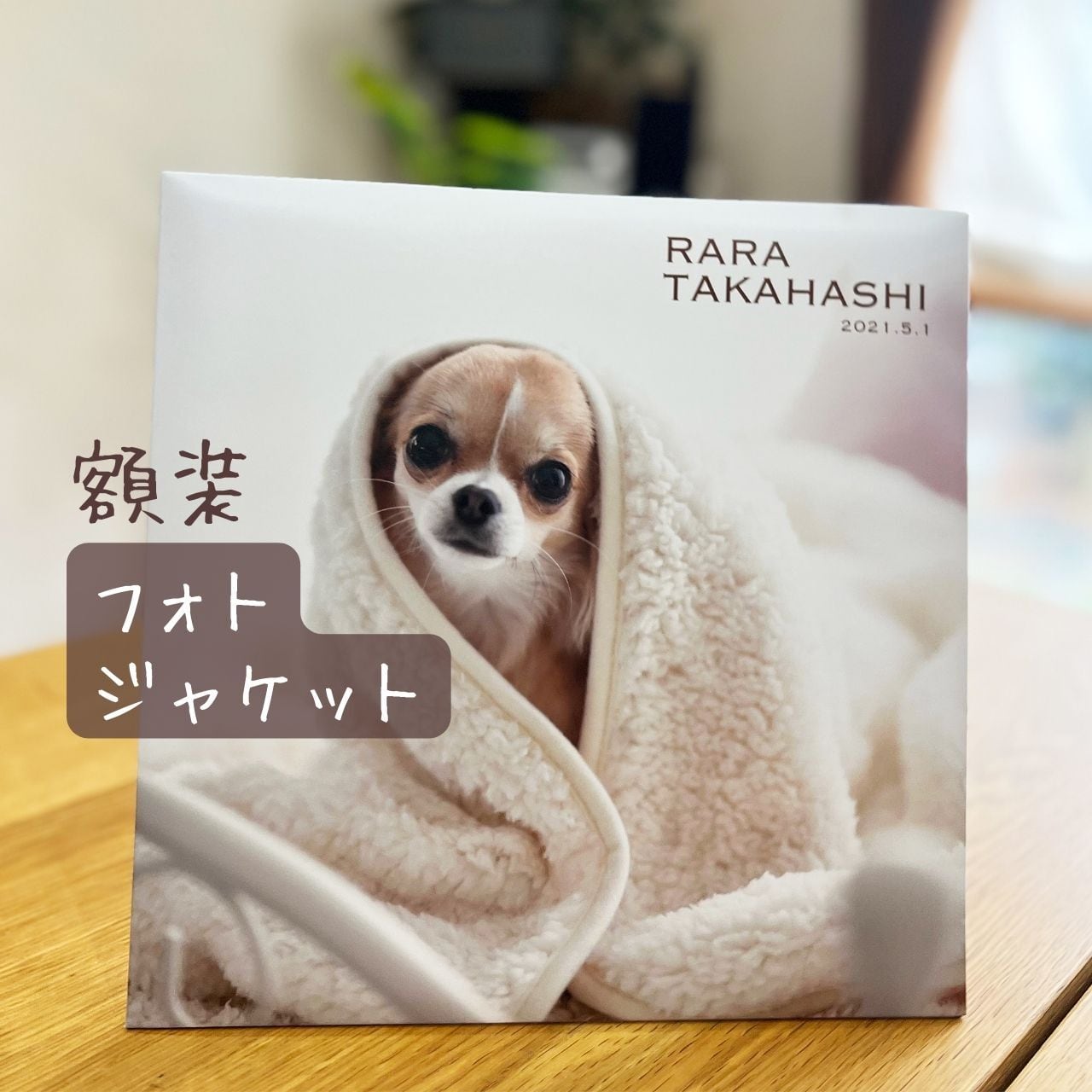 犬のポチ 4f8b4f3eb790ed609ac7af788e37f0