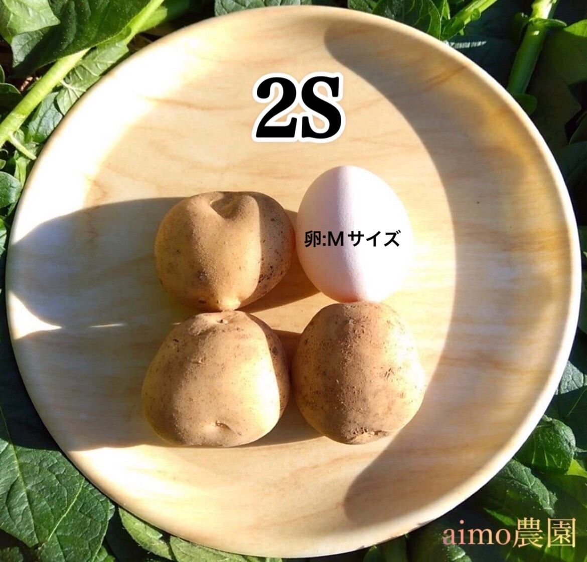 新じゃが 2S〜M 5kg｜箱別 | aimo農園