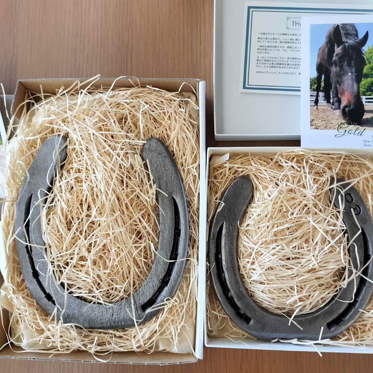 りんご】TCC HORSESHOE 世界にひとつだけの蹄鉄 | TCC ONLINE STORE