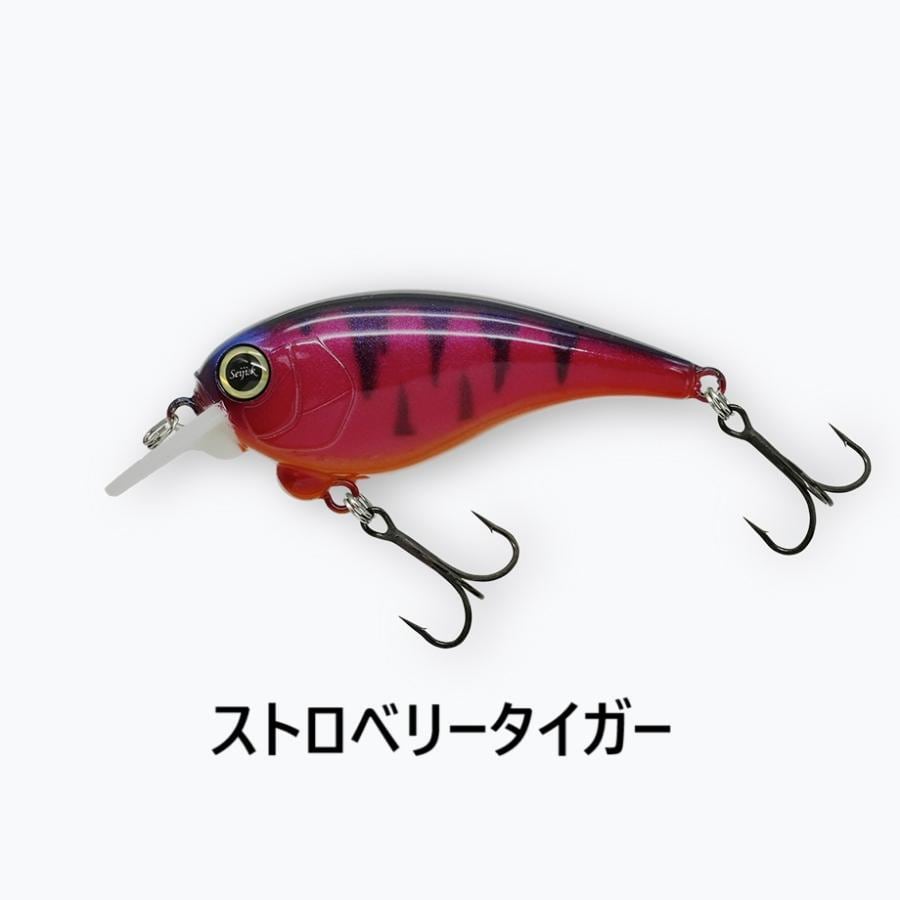 レヴォニック サラモア ドライボーン SaraMoa DryBone REVONIK | fishrock
