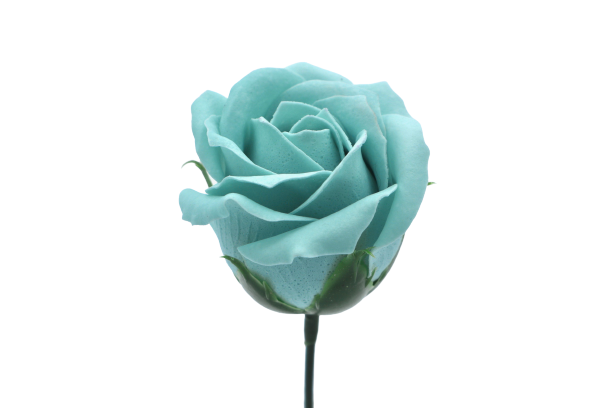 プリンセスバラS-BL5 スカイブルー (15輪入りor25輪入り)